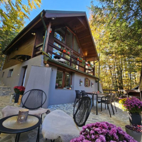Wild House